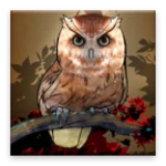 Logo of Owl Wallpaper android Application 