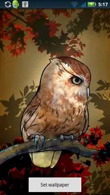 Owl Wallpaper android App screenshot 0