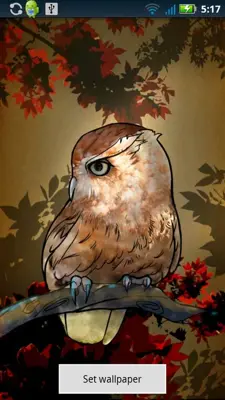 Owl Wallpaper android App screenshot 1