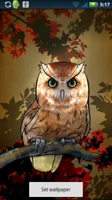 Owl Wallpaper android App screenshot 2